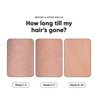 Lyte Flash 3 - View 4